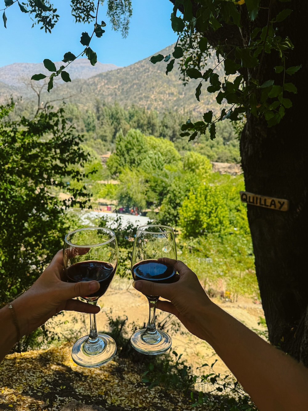 Picnic met chileens wijntje