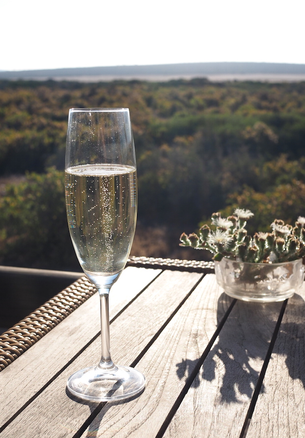 Prosecco Thali Thali