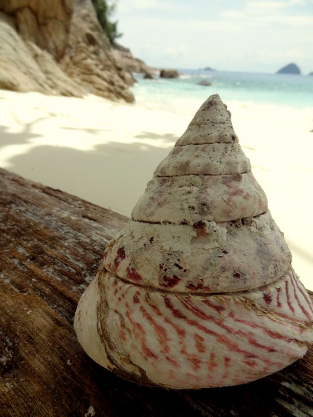 Pulau Perhentian