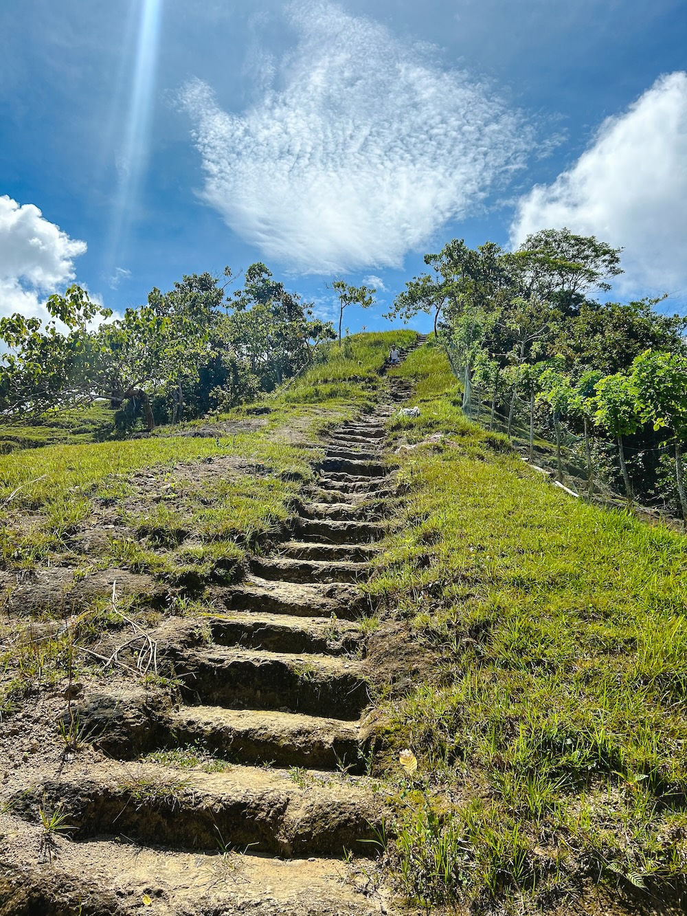 Quisol Mountain viewpoint trappetje