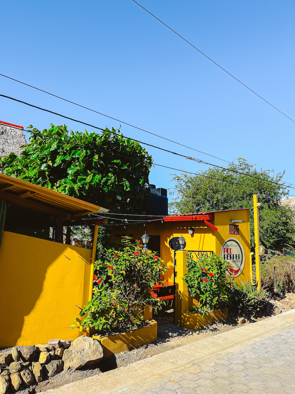 Red pepper hostel, Popoyo