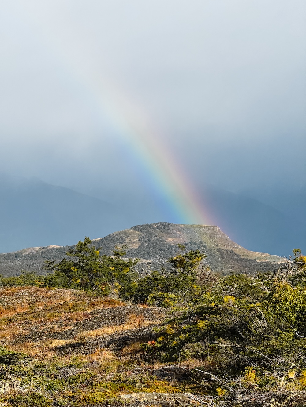 Regenboog in Torres del Paine