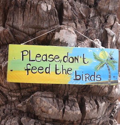 Rif fort please don't feed the birds curacao