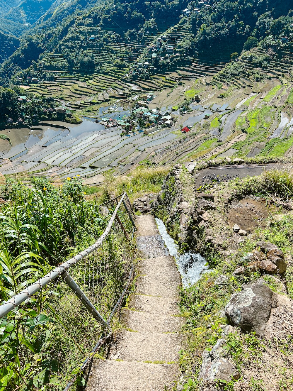 Rijstvelden Banaue en Batad trappetje