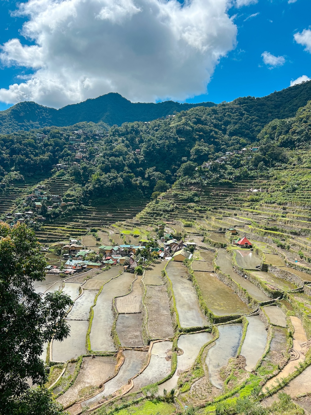 Rijstvelden Banaue en Batad