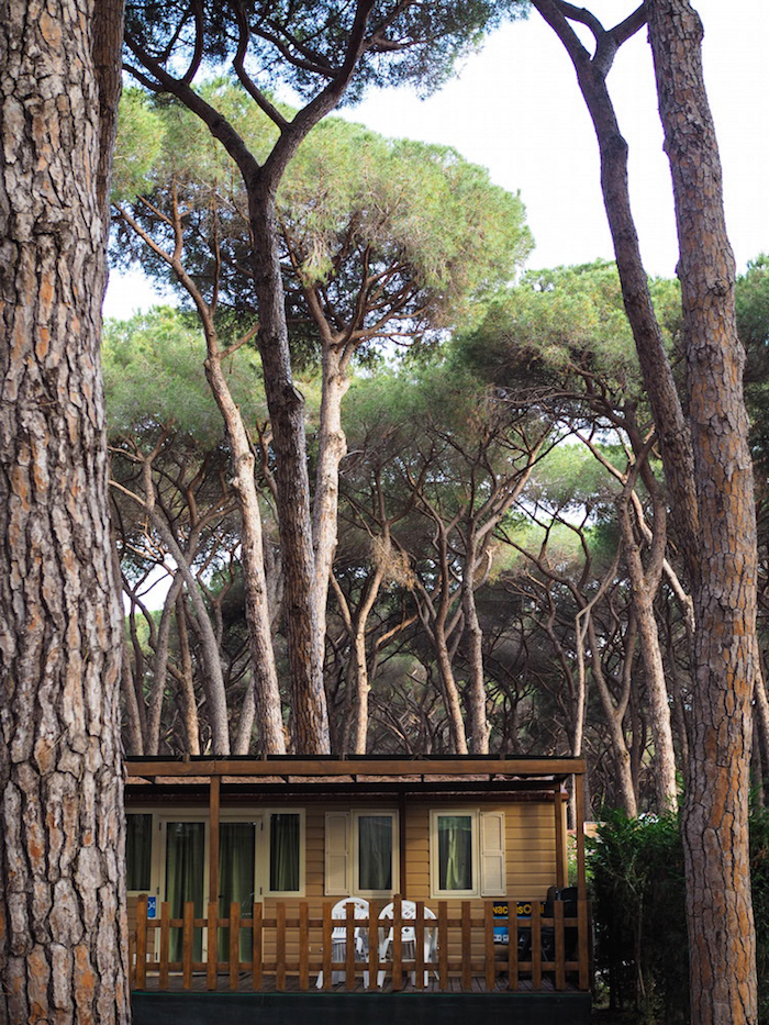 Rome Glamping camping fubulous