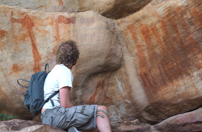 Bushmanskloof rotstekeningen san