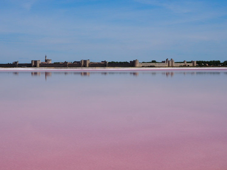 Roze Meer aigues mortes