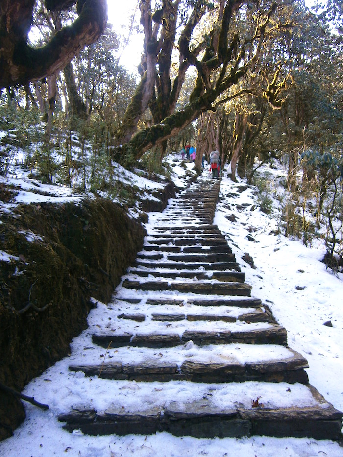 trekking in de sneeuw nepal
