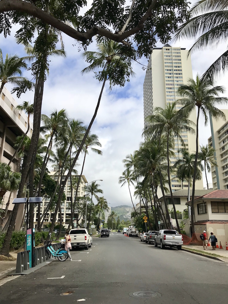 Straat in Hawaii palmbomen