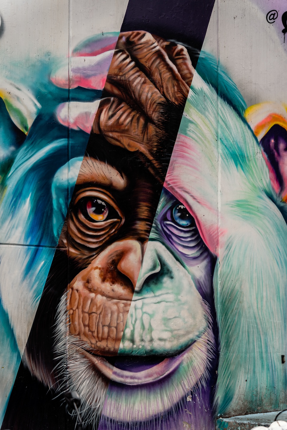 Streetart Communa 13 Medellin