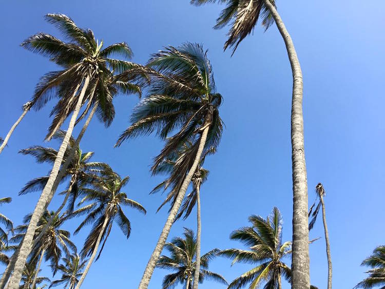 Tayrona colombia backpacken