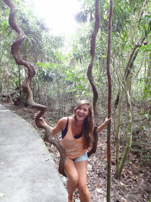 Tour door het dantree rainforest australie