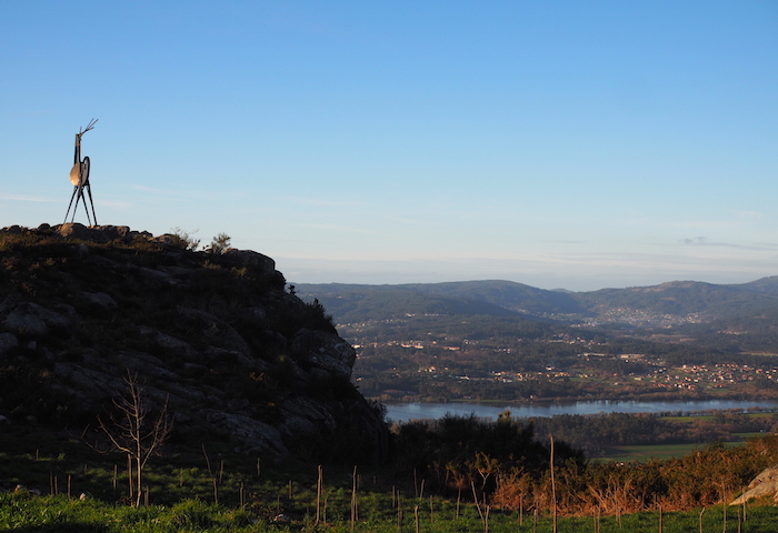 Cervo rendier alto minho