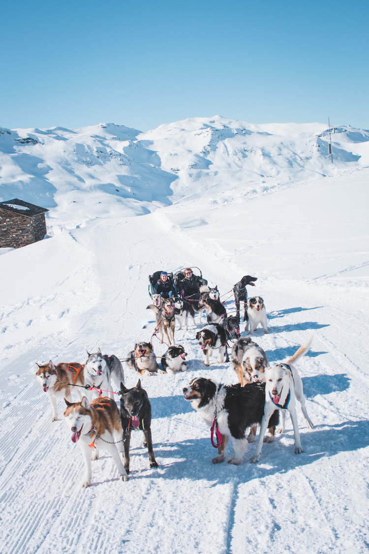 Val Thorens activiteiten huskytocht slee
