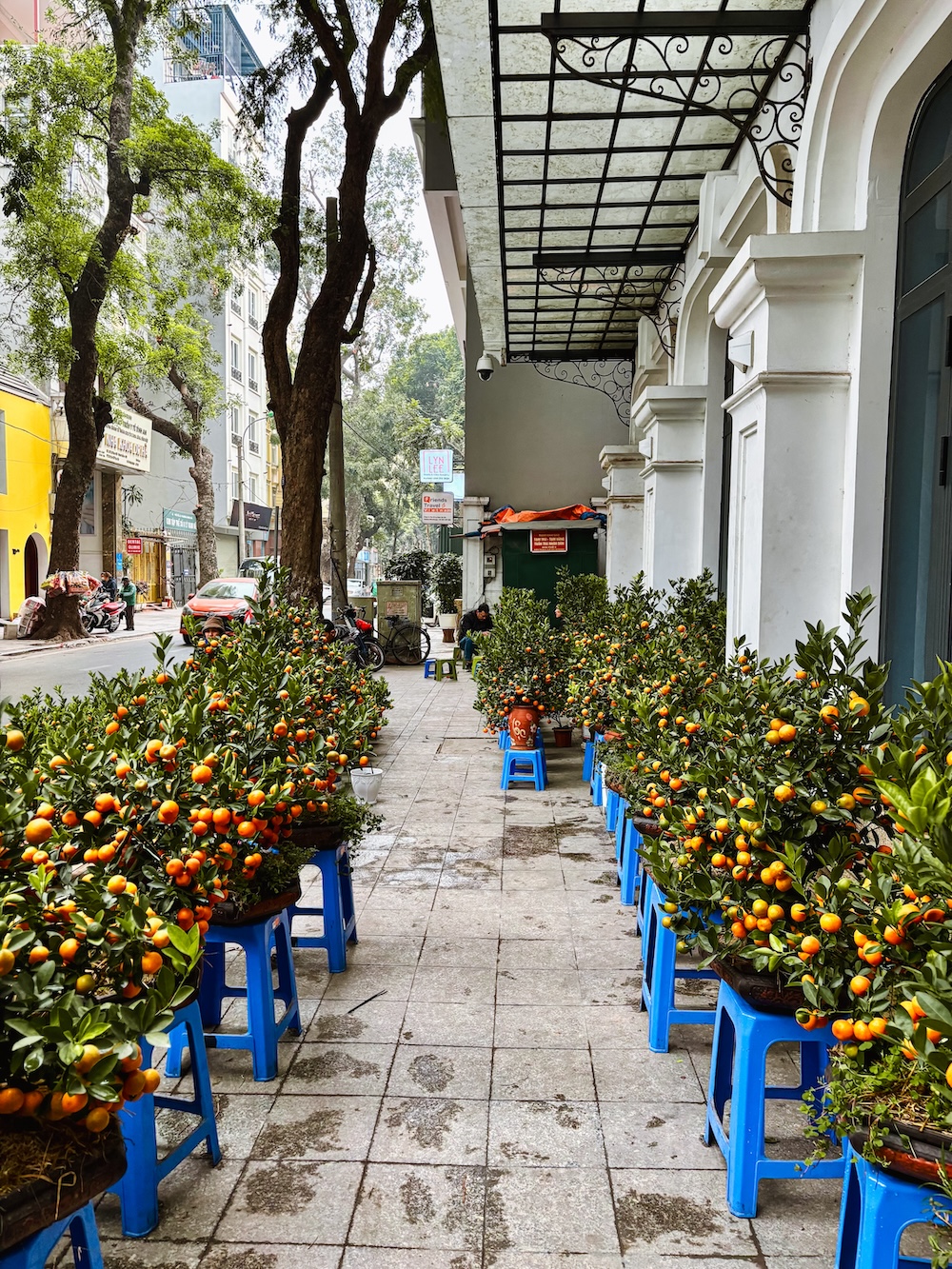 Vietnamese Kerstboom Hanoi