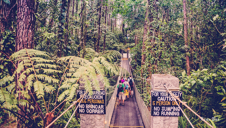 Wandeling Arenal - Cerro Chato costa rica