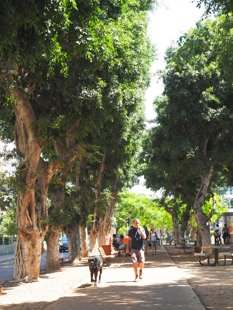 Wat te doen in Tel Aviv Rothschild-3