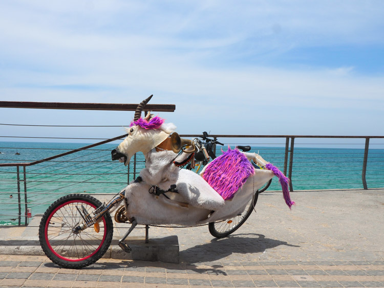 Wat te doen in Tel Aviv naar strand-3