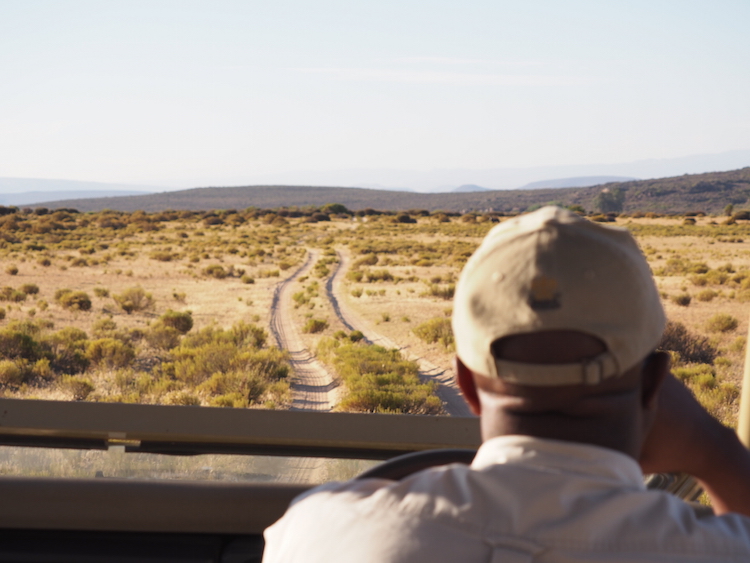 Londi gids bushmans kloof