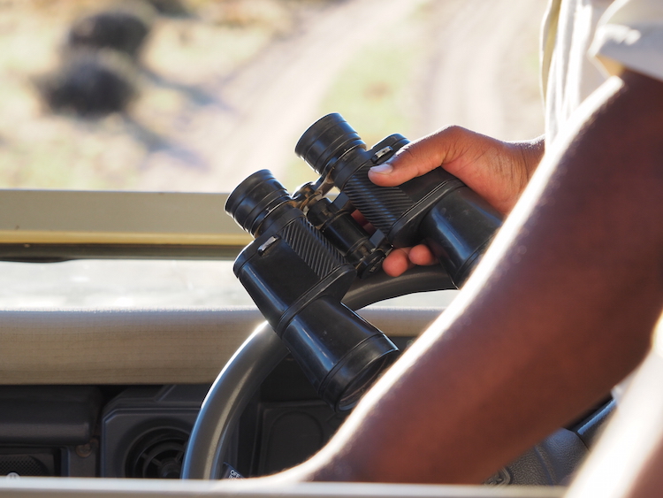 londi gids bushmans kloof