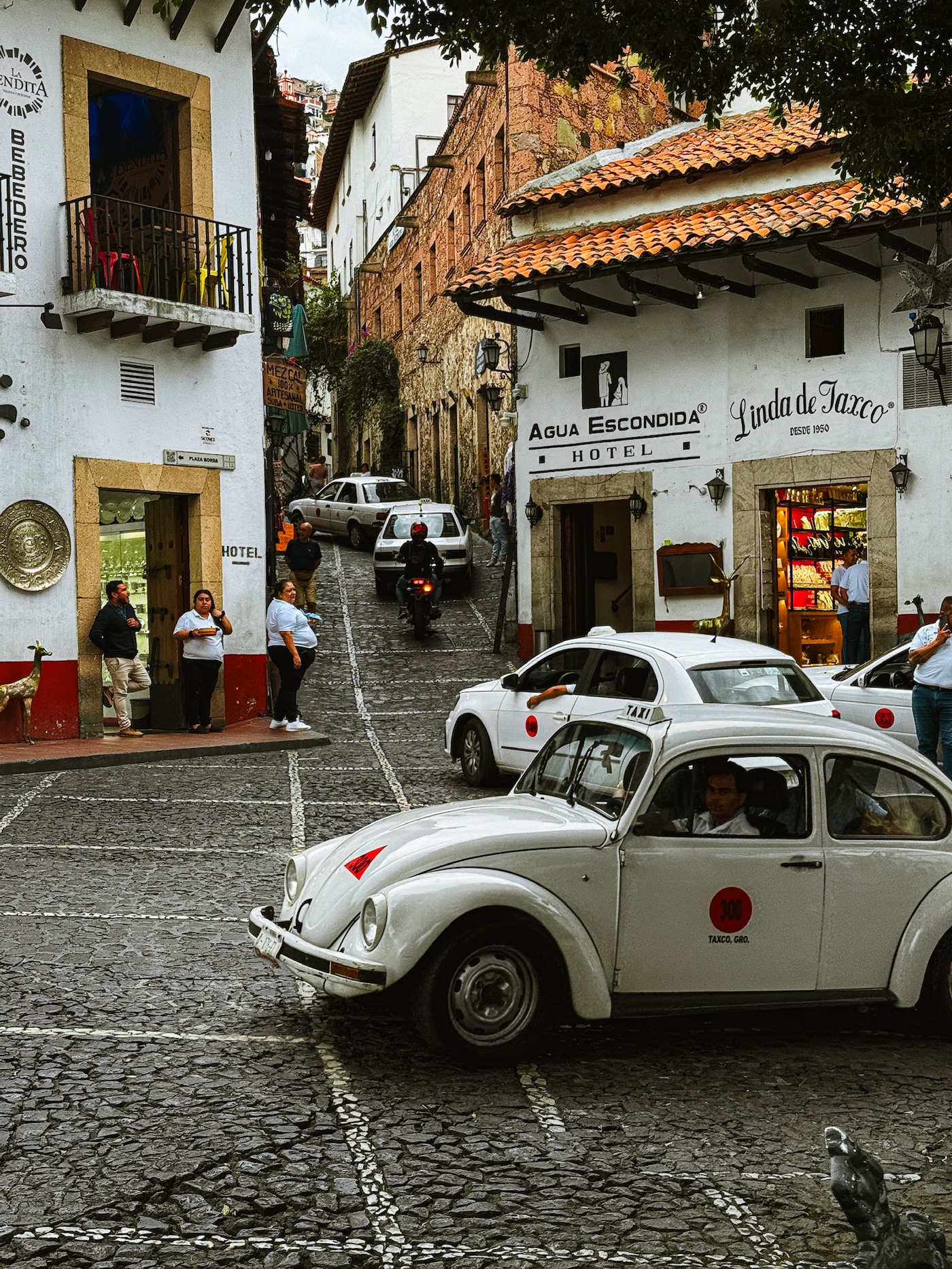 Witte Beetles
