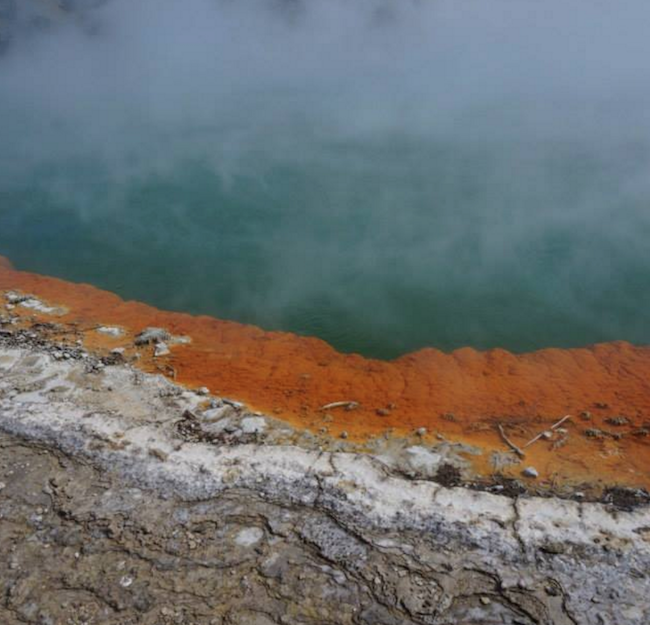 backpacken nieuw zeeland tips champagne pool
