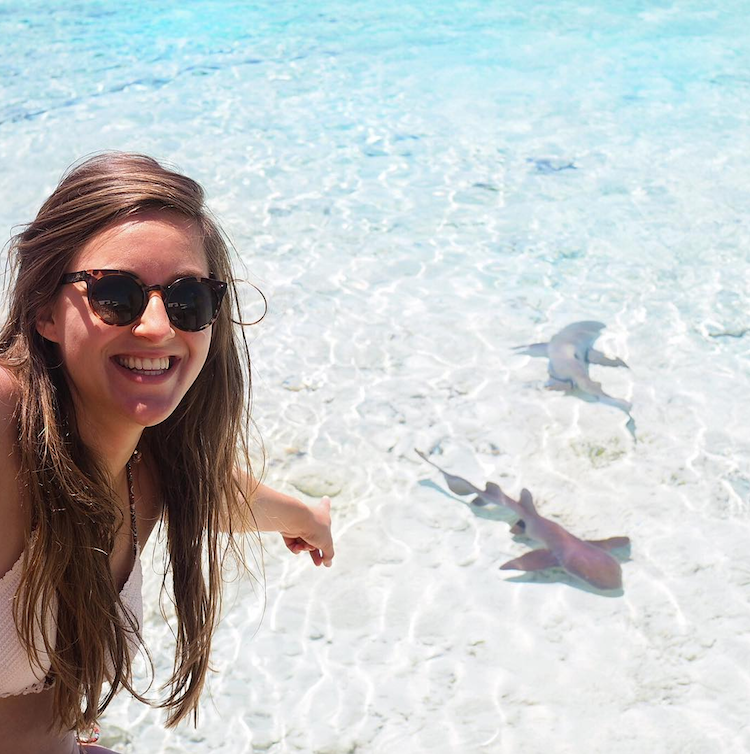 bahamas haaien exumas