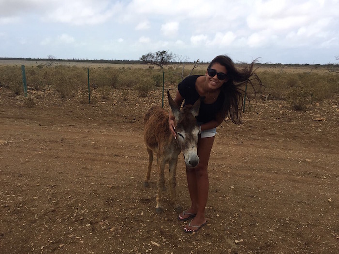 bonaire-donkey-sancturary-4