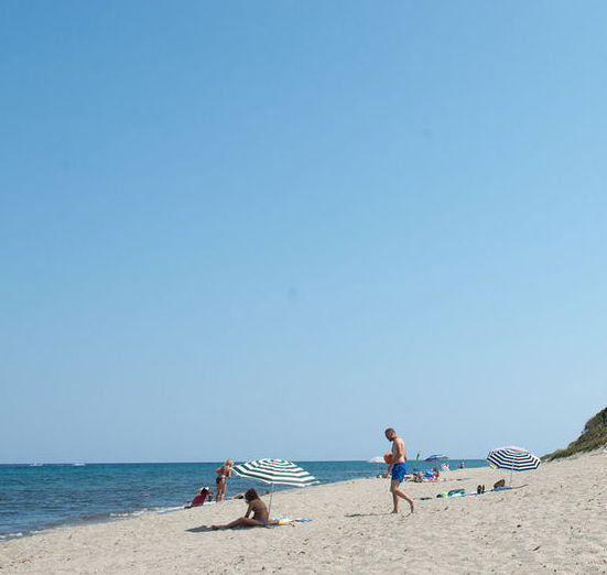 corsica campoloro