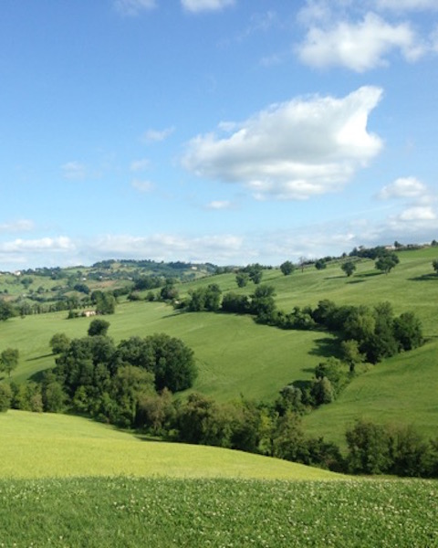 groen landschap italie