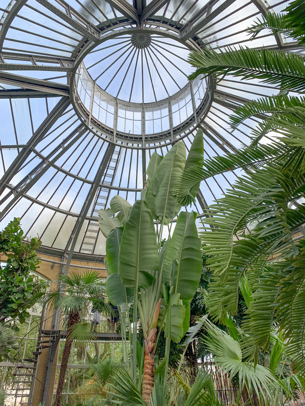 hortus amsterdam