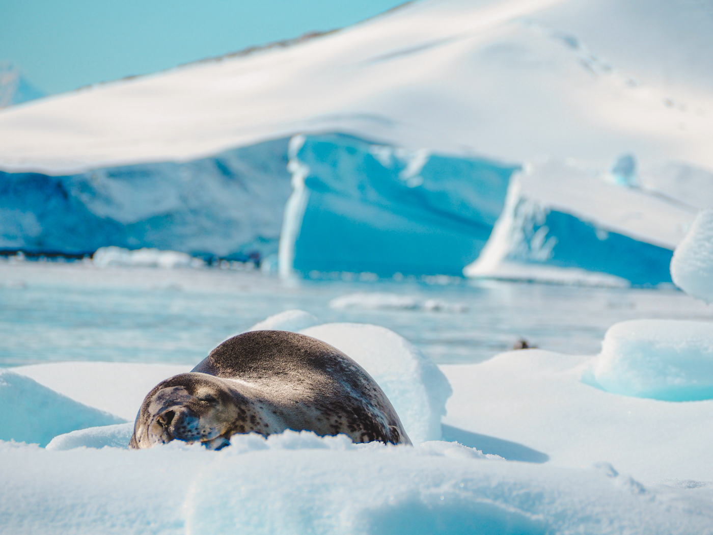 ijsschotsen antarctica ijs bergen-3