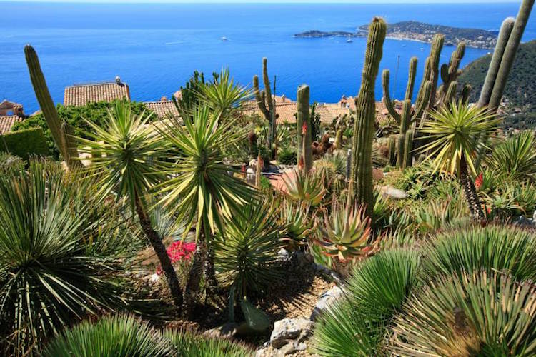 Jardin Exotique d'Eze