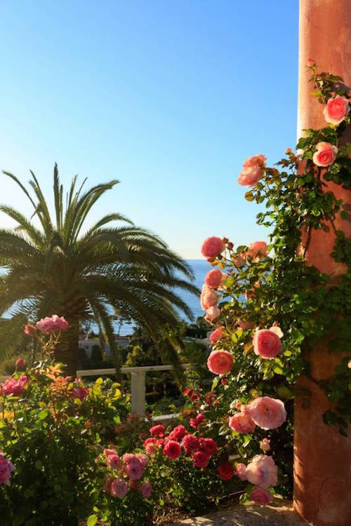 Jardin Villa Ephrussi de Rothschild