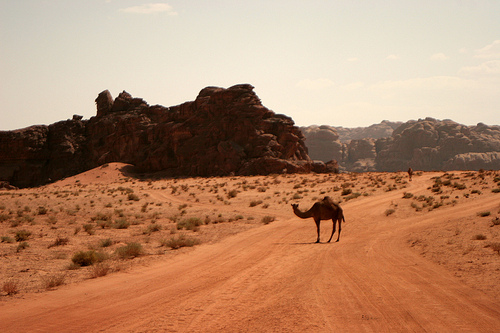 jordanie wadi rum
