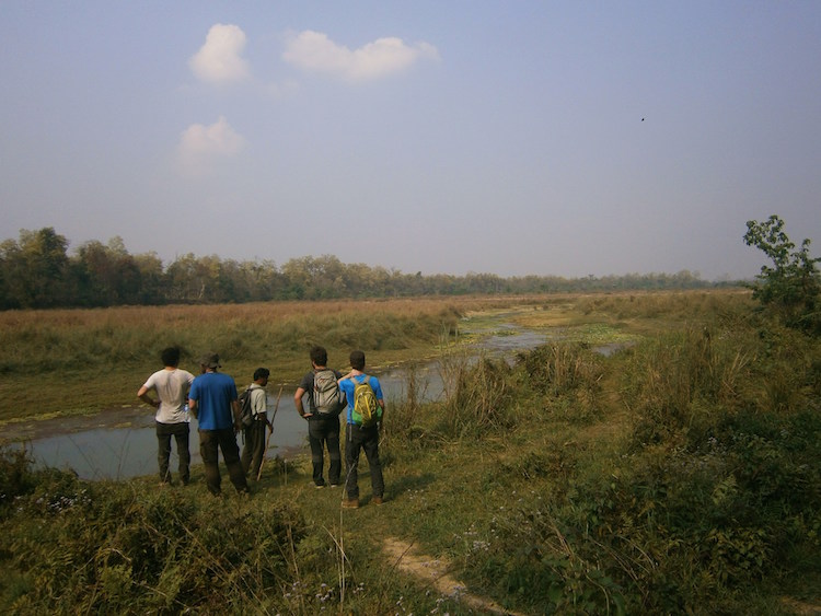jungle walk nepal