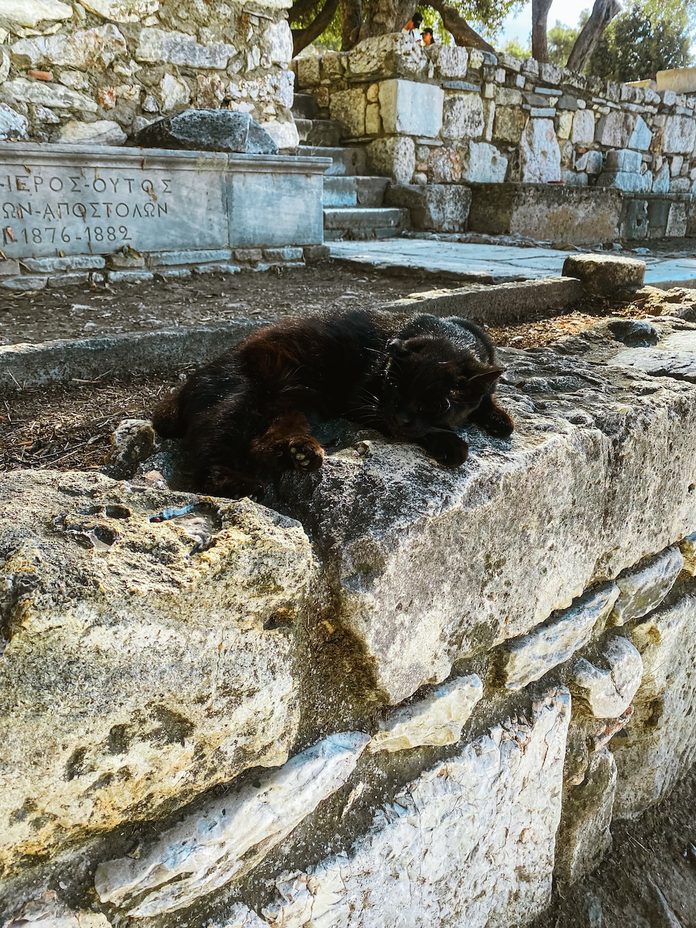 kat in Athene