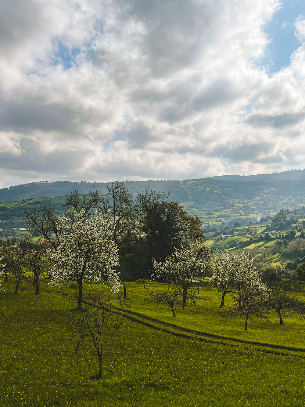 landschap Casa Trabanco cider