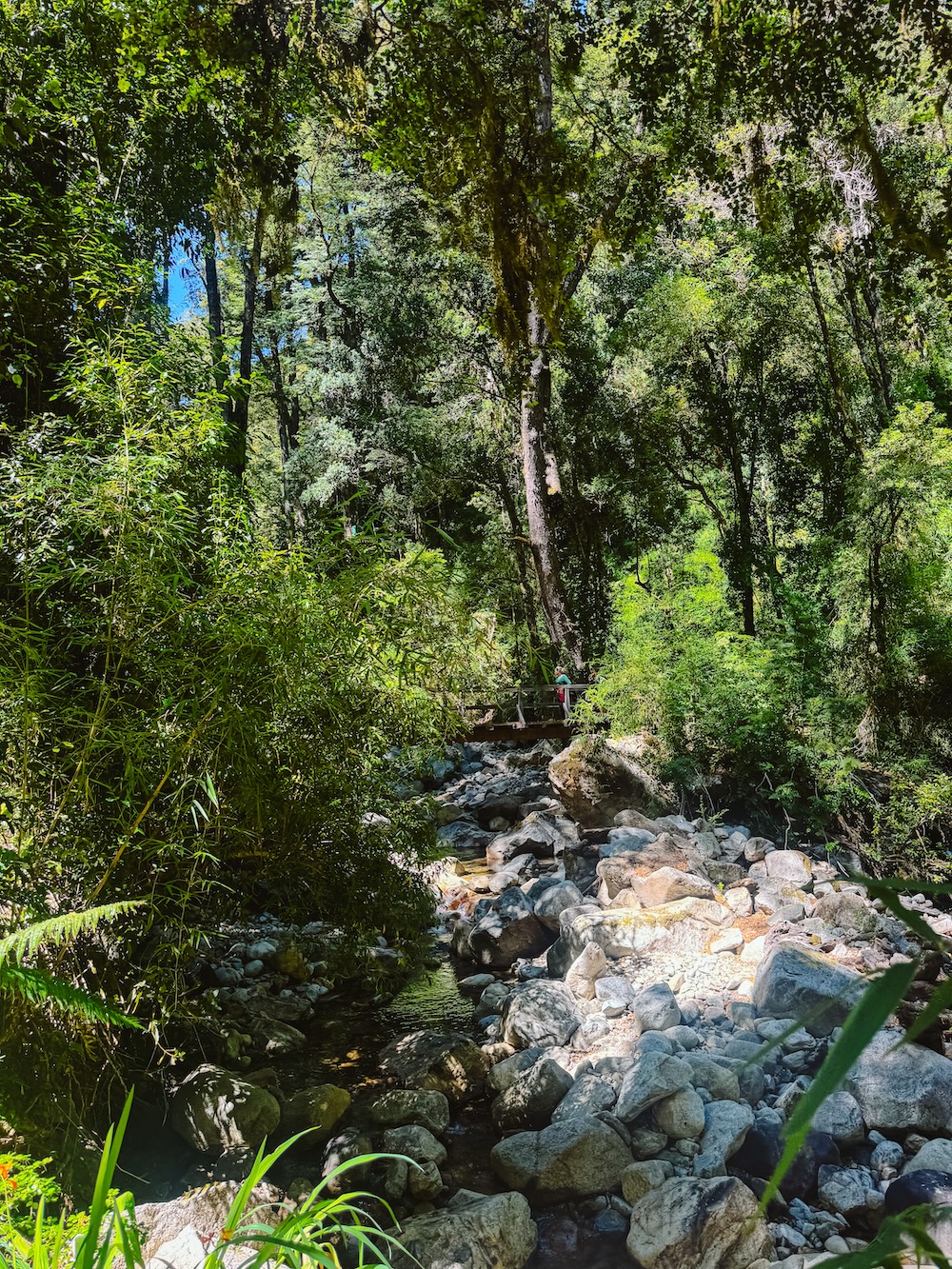 natuur Vicente Pérez Rosales