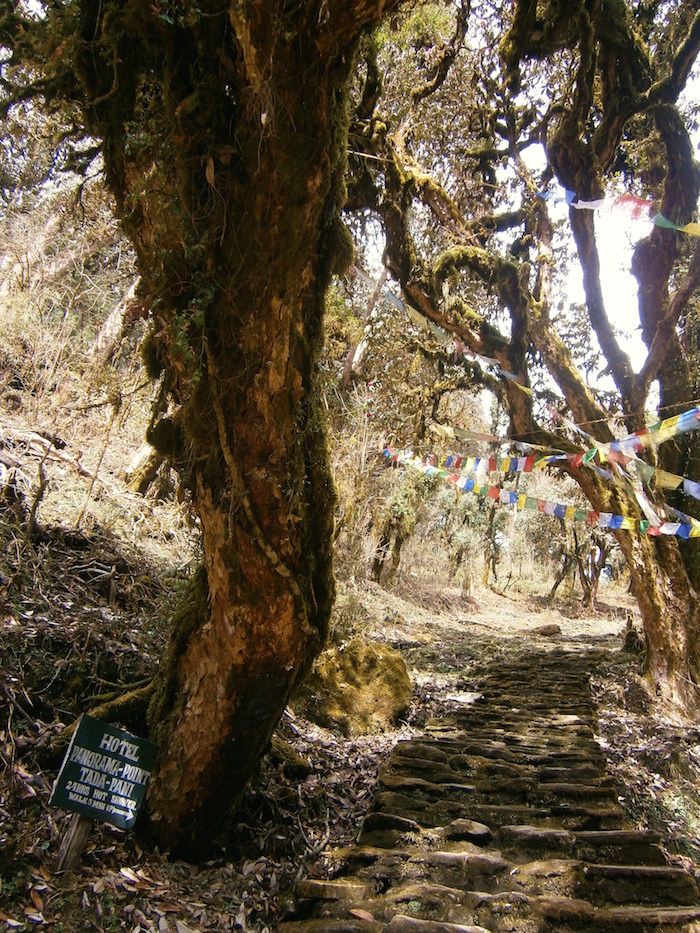 nepal-vlaggetjes-himalaya-trekkin