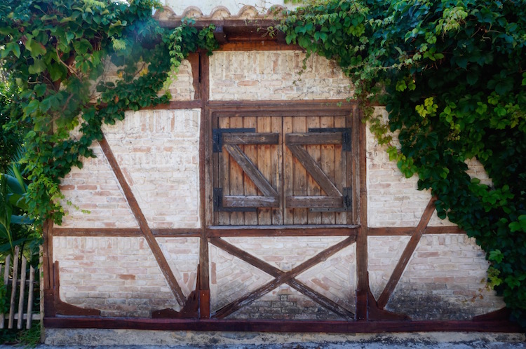 olivetto eliza was here in lefkas tips
