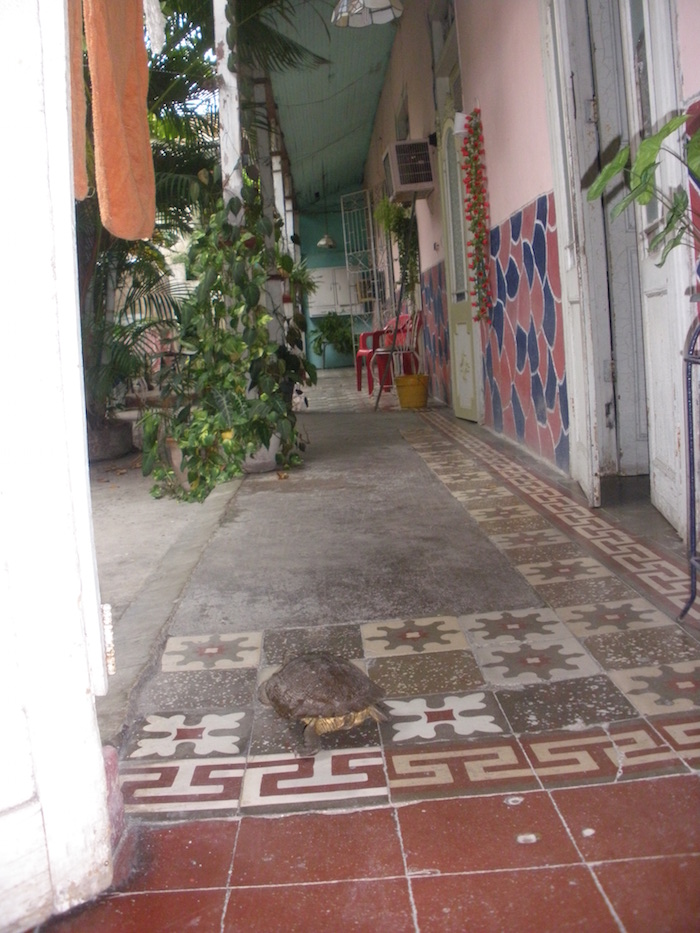 Casa particulares santiago de Cuba