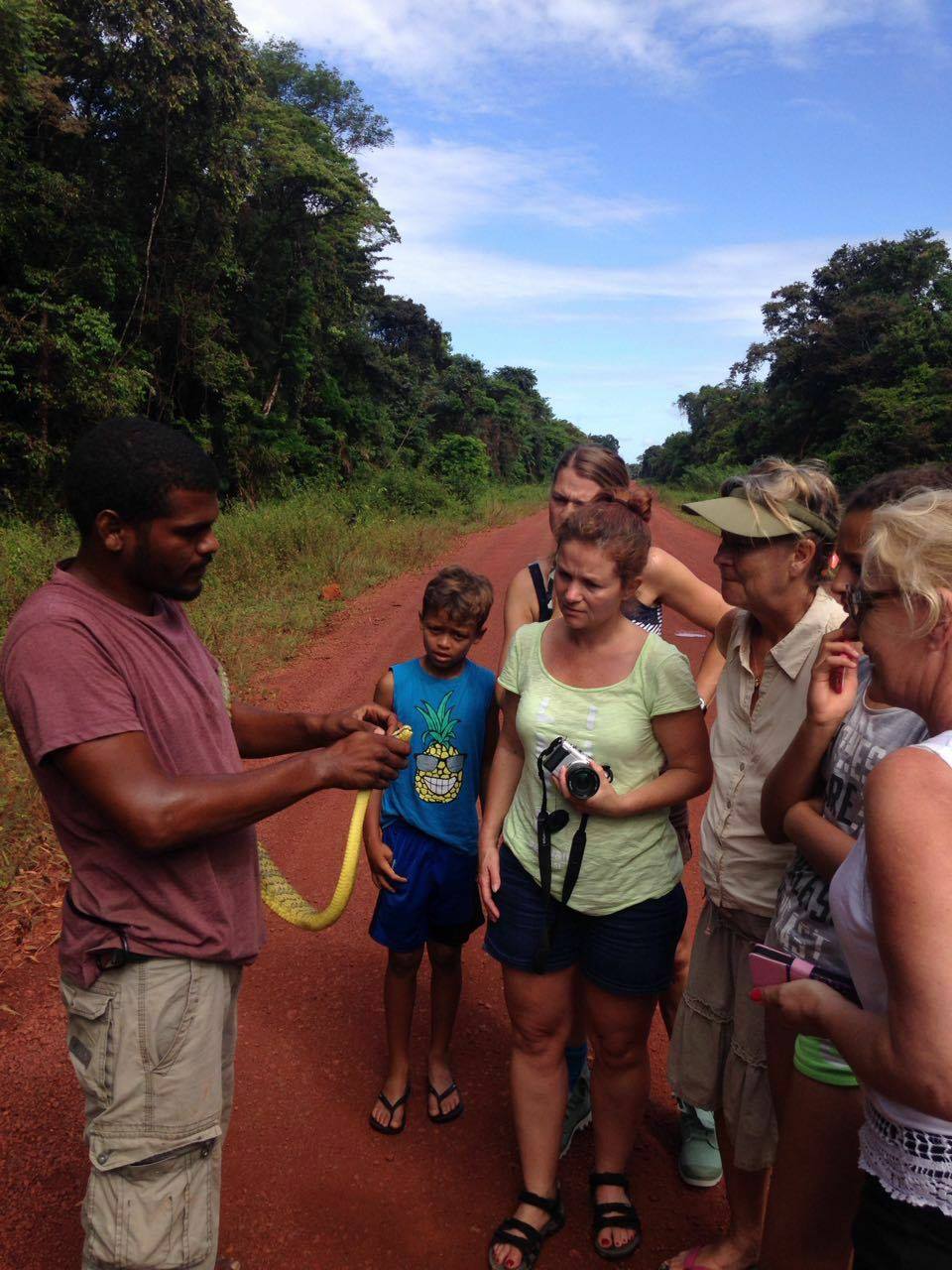 slang gevonden in jungle suriname tonen