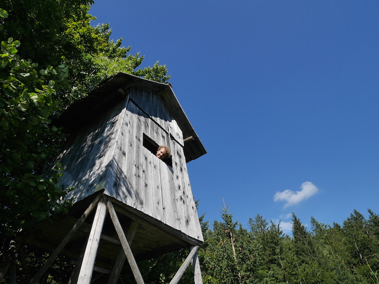 slovenie roadtrip boomhut vogelhuisje