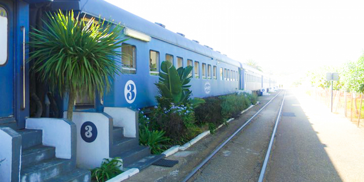 surfen zuid afrika mosselbaai
