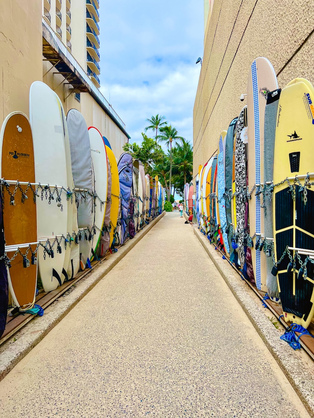 surfplanken Waikiki Beach