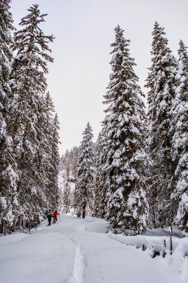 tirol oostenrijk Sneeuwwandelen