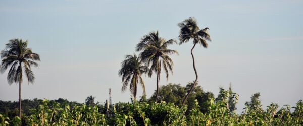 vakantie gambia