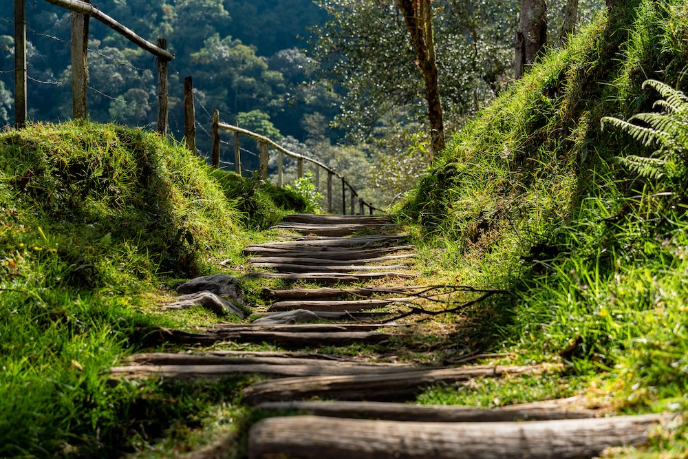 wandelpad cocoravallei Colombia